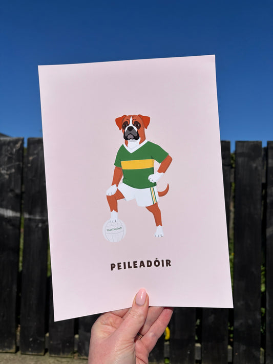 Peileadóir