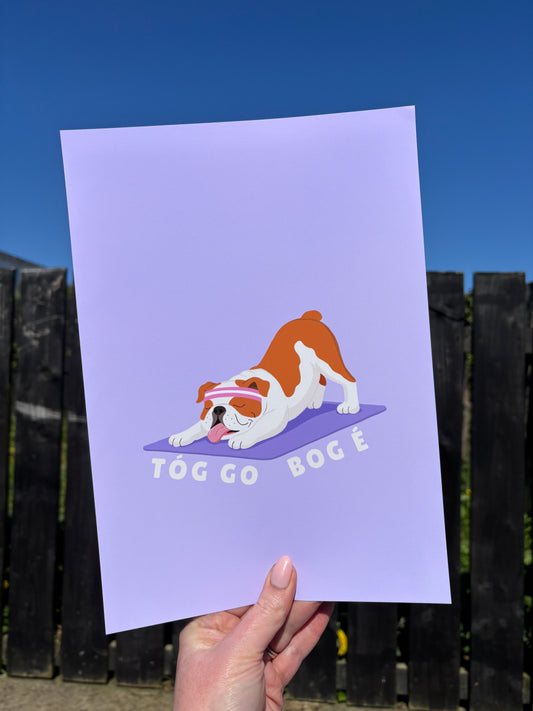 Tóg go bog é