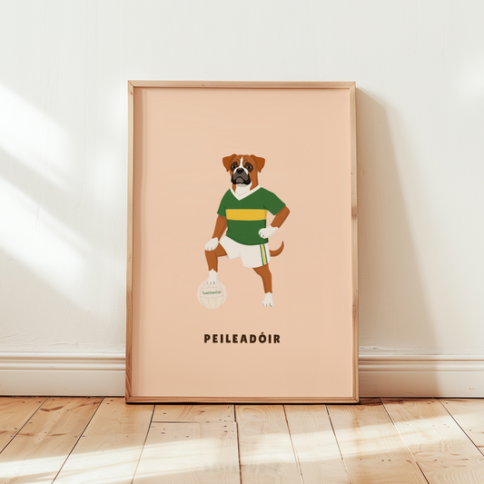 Peileadóir